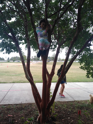Boat Ramp «Bladensburg Waterfront Park», reviews and photos, 4601 Annapolis Rd, Bladensburg, MD 20710, USA