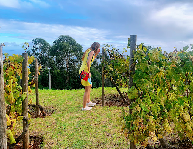 Comentários e avaliações sobre o Vinhos Barbeito