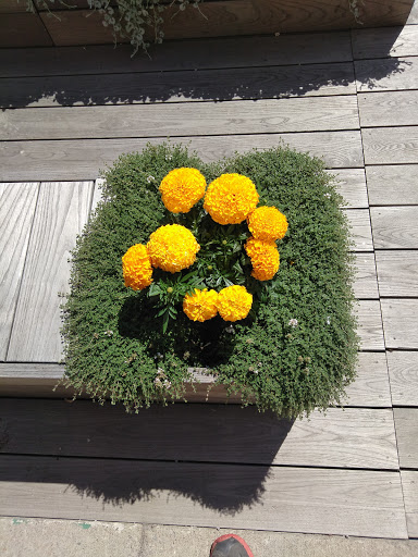 Restaurant «Joe Bean Roastery – Bar – Kitchen», reviews and photos, 1344 University Ave, Rochester, NY 14607, USA