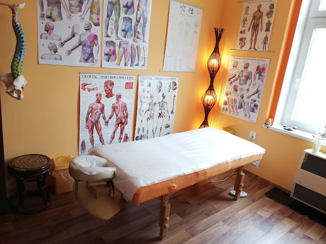 Masáže Plzeň - HANA POJEROVÁ Otevírací doba