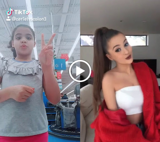 Dollar Store «Dollar Tree», reviews and photos, 5370 Allentown Pike, Temple, PA 19560, USA