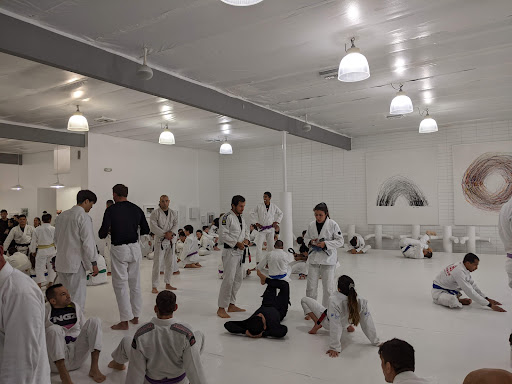 Art of Jiu Jitsu Academy image