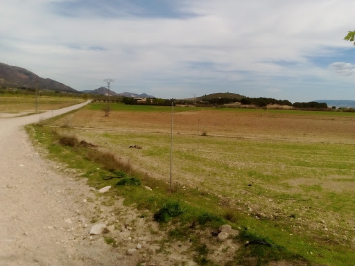 Información y opiniones sobre Finca Casa Alarcón de Caudete