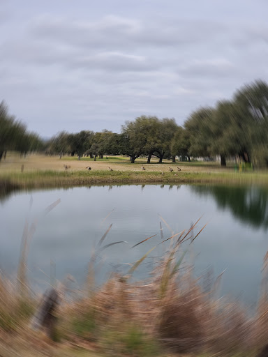 Golf Course «Devine Golf Course», reviews and photos, 116 W Malone Dr, Devine, TX 78016, USA