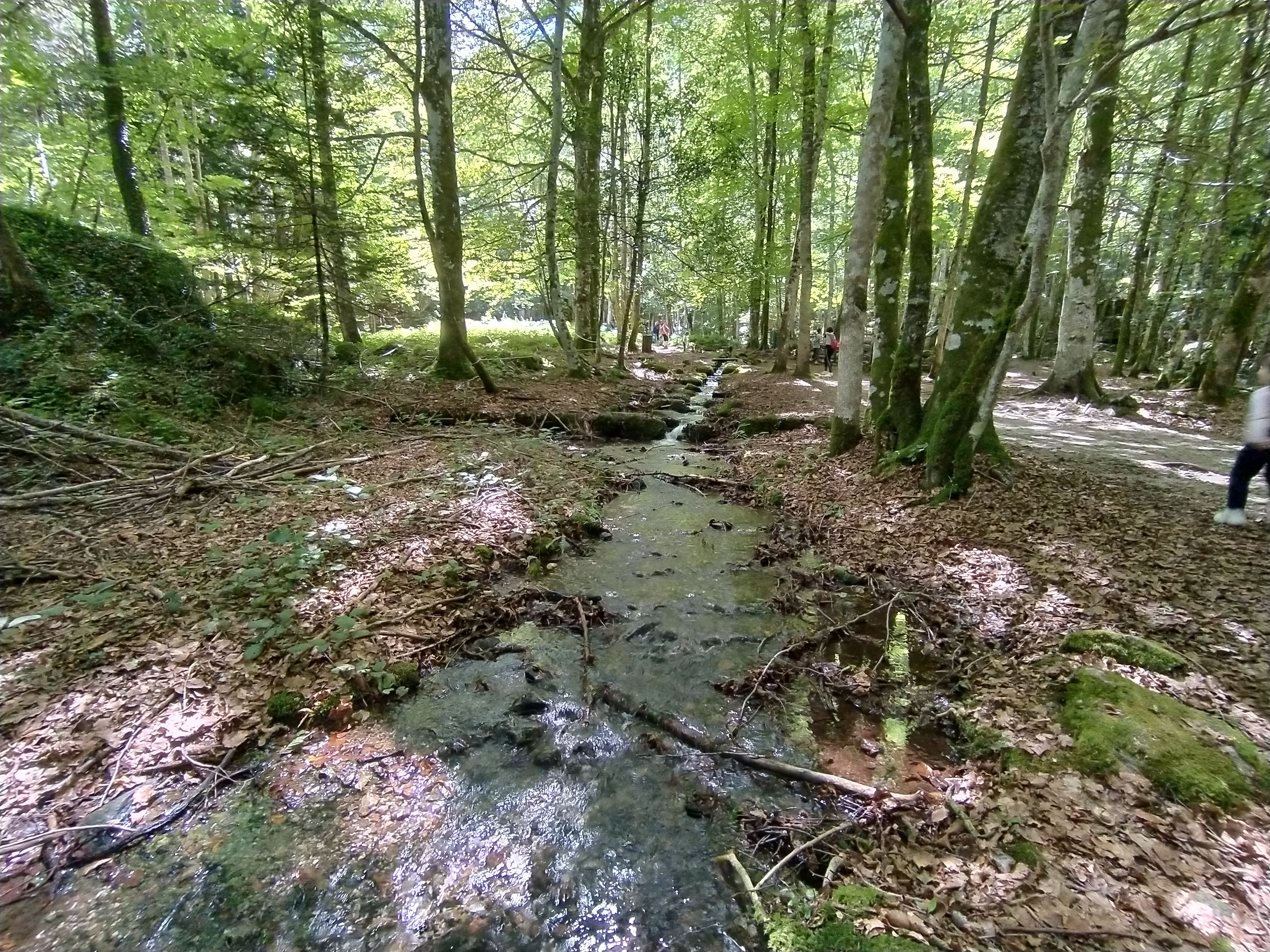 Photo n° 5 de l'avis de Sanchez.u fait le 04/08/2020 à 13:25