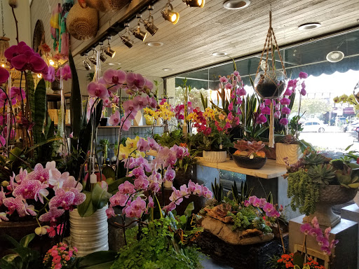 Florist «Enchanted Florist», reviews and photos, 11102 Los Alamitos Blvd, Los Alamitos, CA 90720, USA