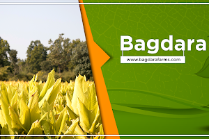 Bagdara Farms image
