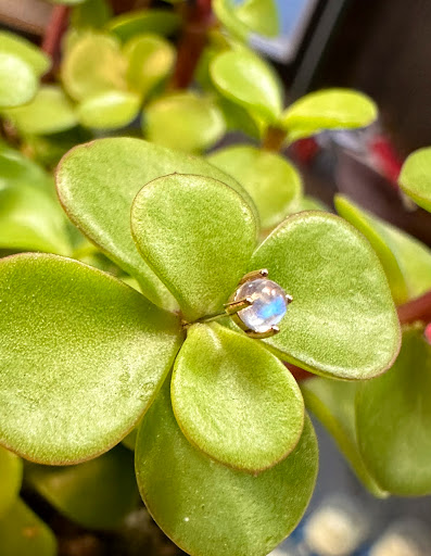 Explore mens wedding band tattoo ideas, creative tattoo ideas in Rehoboth Beach, available at Homeward Tattoo and Body Piercing