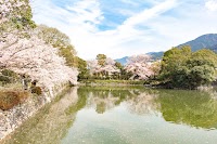 広瀬公園・亀池