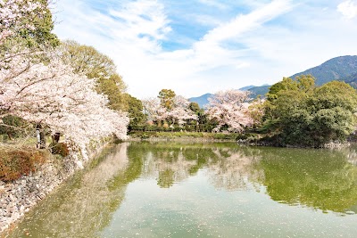 広瀬公園・亀池