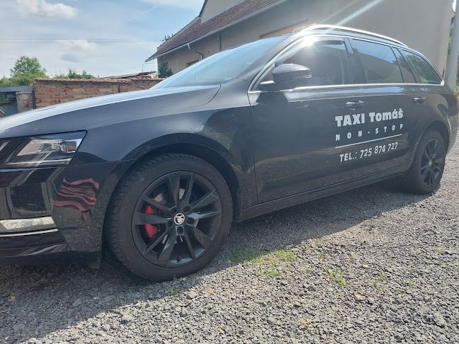 Comentarii opinii despre Taxi Tomáš Bučovice