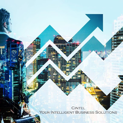 Cintel Business Solutions