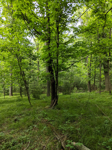 Tourist Attraction «Black Ledge Falls», reviews and photos, Hebron Ave, Glastonbury, CT 06033, USA