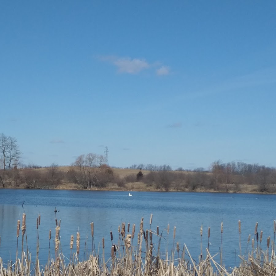 Watkins Lake State Park and County Preserve