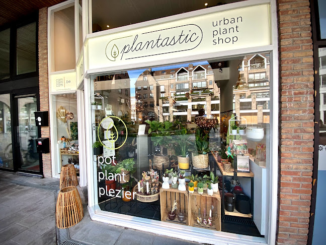 Plantastic Urban Plant Shop - Bloemist
