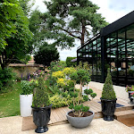 Photo n° 3 de l'avis de Michel.Y fait le 05/07/2020 à 18:40 pour Le Patton à Fontainebleau