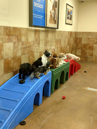 Pet Supply Store «PetSmart», reviews and photos, 1140 W Elliot Rd, Tempe, AZ 85284, USA