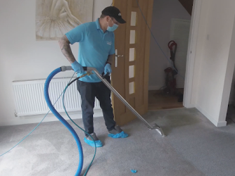 Pace Specialist Cleaners - Carpet Cleaning