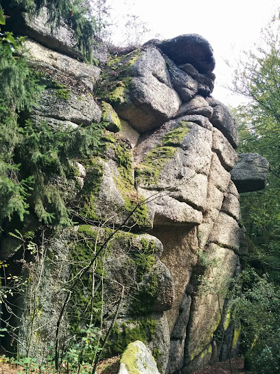 Bauernhof Reiterhof Knoebelsteiner