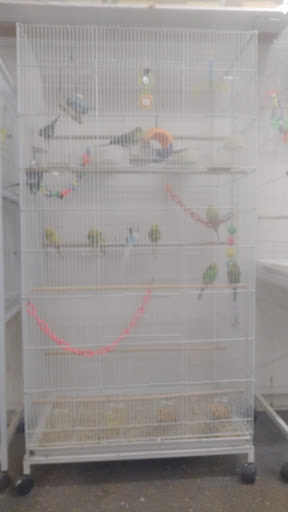 Pet Supply Store «Family Pet Store», reviews and photos, 38 Starrett Dr, Belfast, ME 04915, USA