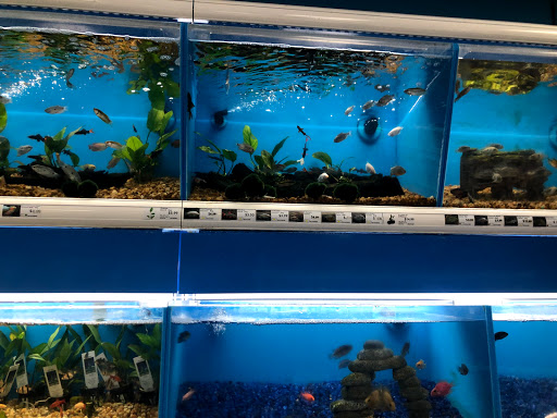 Pet Supply Store «Pet Supermarket», reviews and photos, 2959 N Druid Hills Rd NE, Atlanta, GA 30329, USA