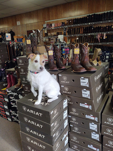 Lone Star Western Store Pattie