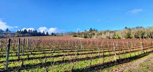 Vineyard «Cristom Vineyards», reviews and photos, 6905 Spring Valley Rd NW, Salem, OR 97304, USA