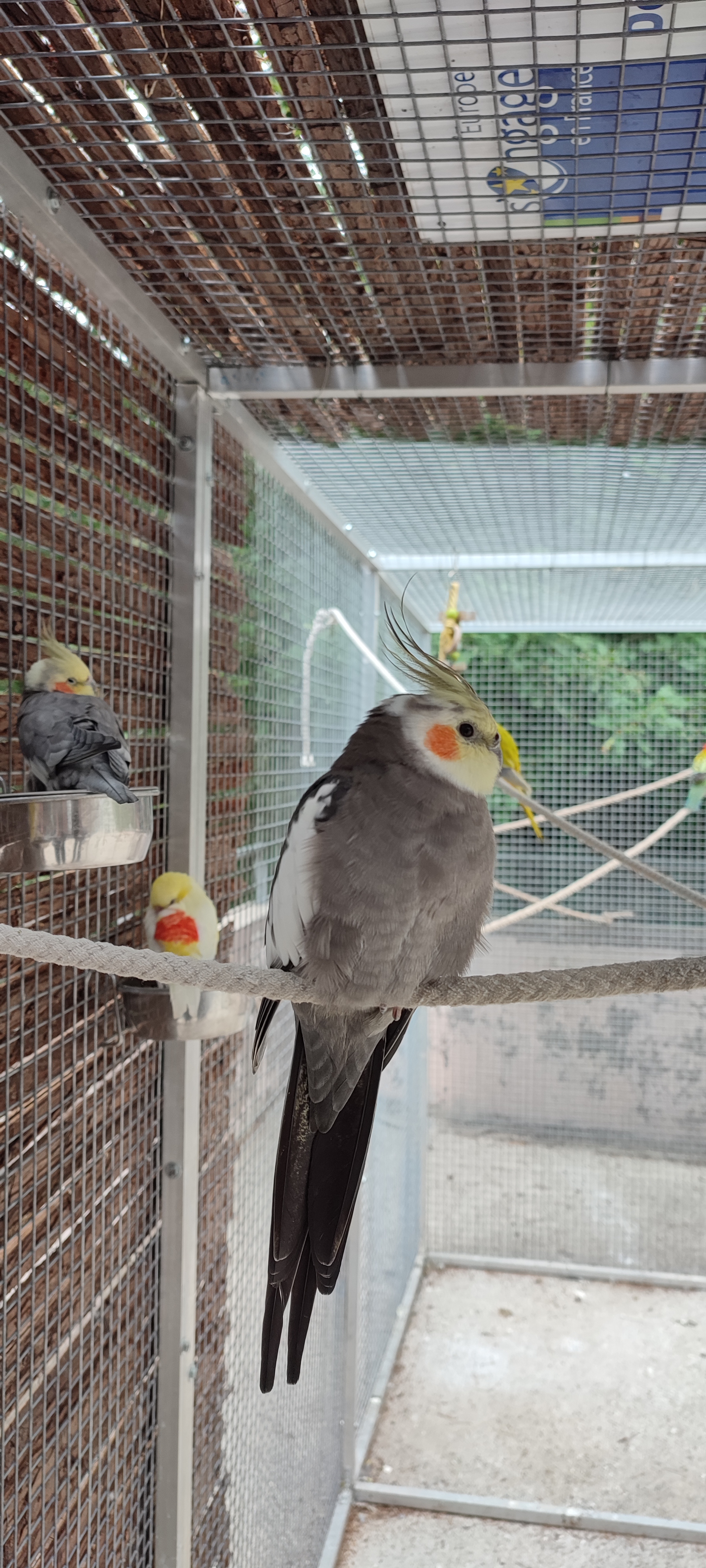 Photo n° 1 de l'avis de Théo.a fait le 26/07/2023 à 12:04