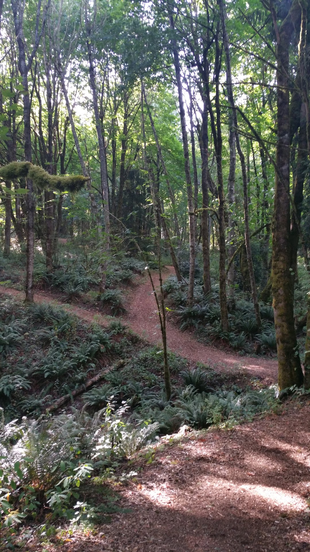 Tumwater Hill Park