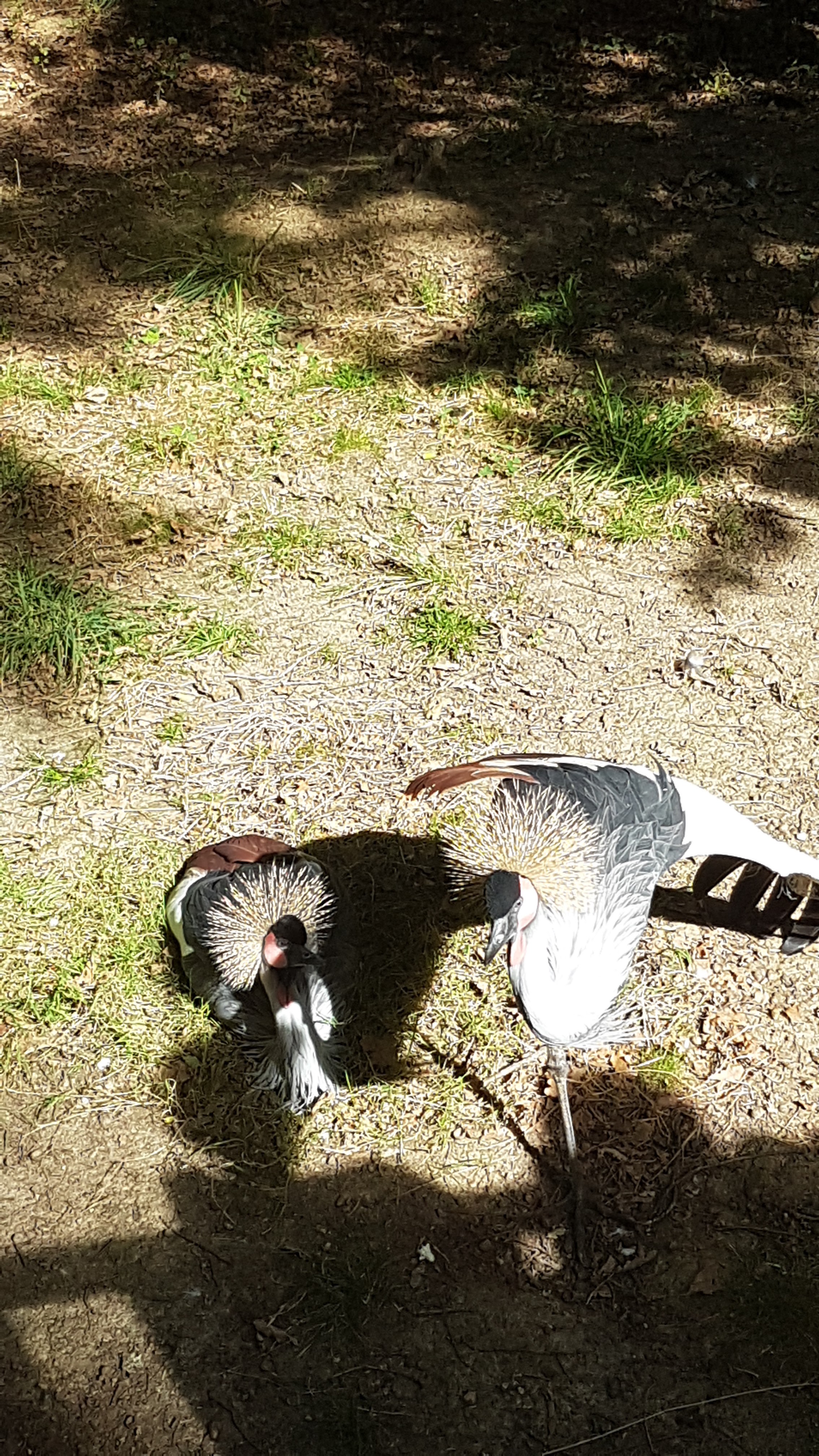 Photo n° 12 de l'avis de Patricia.e fait le 16/08/2019 à 15:31