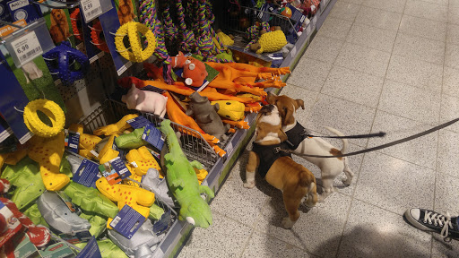 Läden kaufen Hunde Berlin