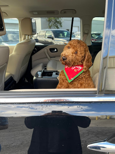 Nissan Dealer «Pat Peck Nissan - Gulfport», reviews and photos, 9480 US 49, Gulfport, MS 39503, USA