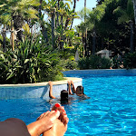 Photo n°1 de l'avis de Cristiana.r fait le 22/08/2018 à 12:16 sur le  Ria Park Hotel & Spa à Almancil