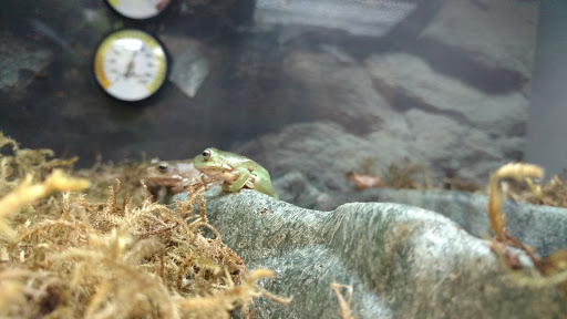 Pet Supply Store «Petco Animal Supplies», reviews and photos, 742 New Los Angeles Ave a, Moorpark, CA 93021, USA