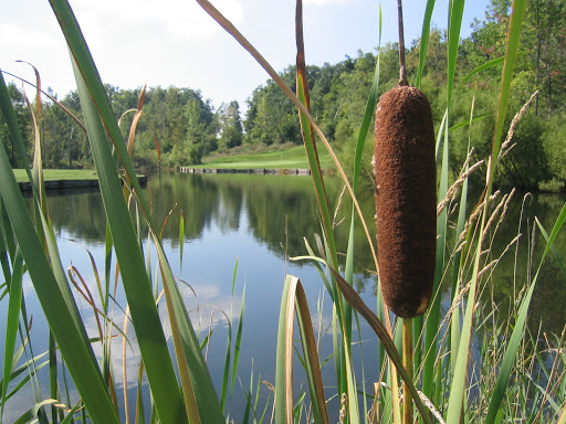 Golf Course «Copper Hills Golf Club», reviews and photos, 2125 Lakeville Rd, Oxford, MI 48370, USA