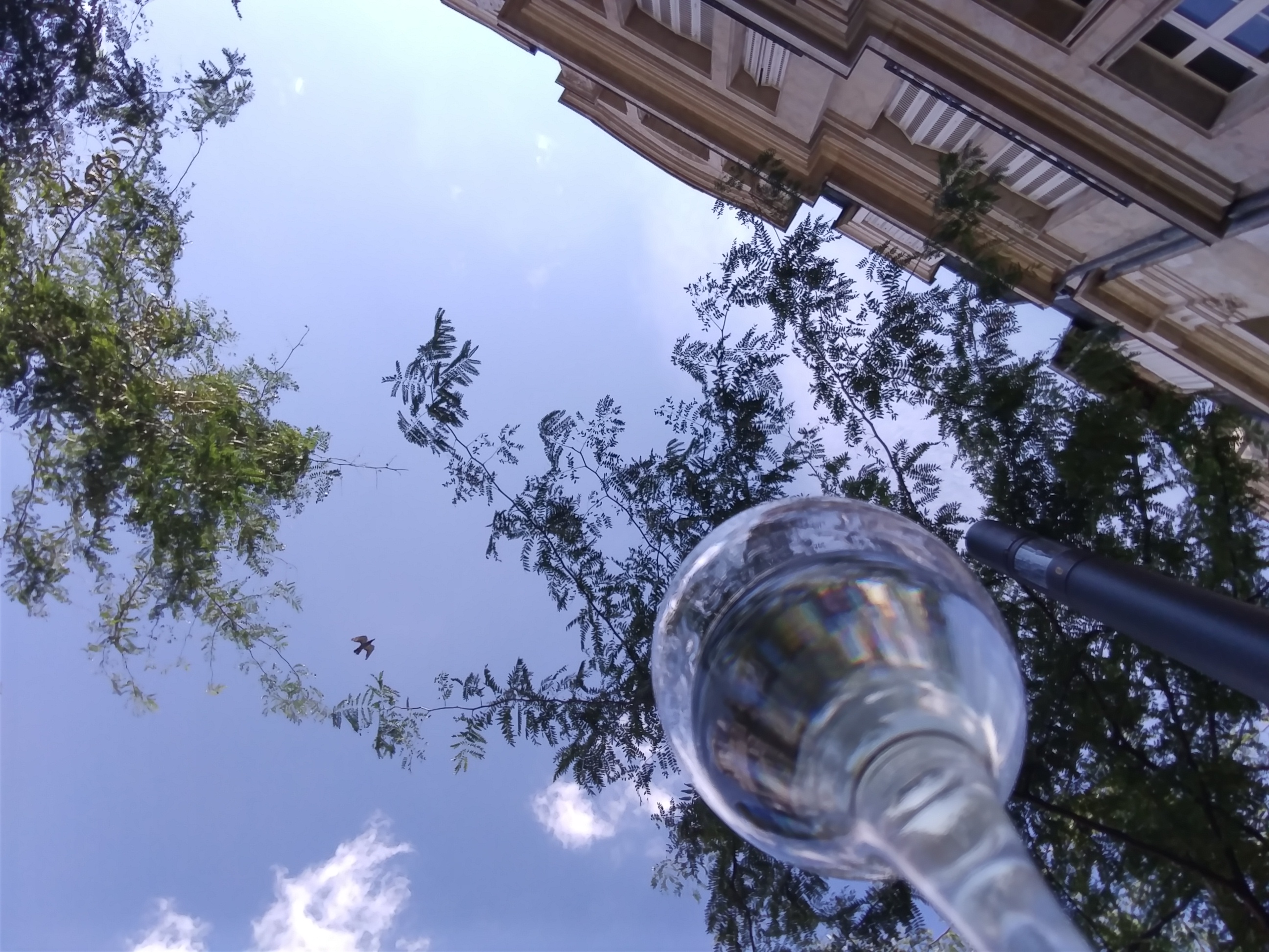 Photo n° 1 de l'avis de Midgy.a fait le 15/09/2019 à 15:07
