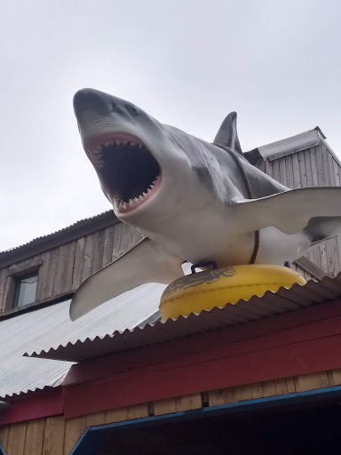 Water Park «Lubbock Water Rampage», reviews and photos, 6602 Marsha Sharp Fwy, Lubbock, TX 79407, USA