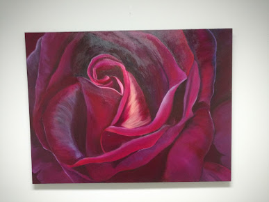 Newcastle Private Hospital - Newcastle Private Hospital