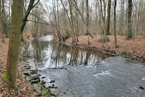 Park an der Dhünn image