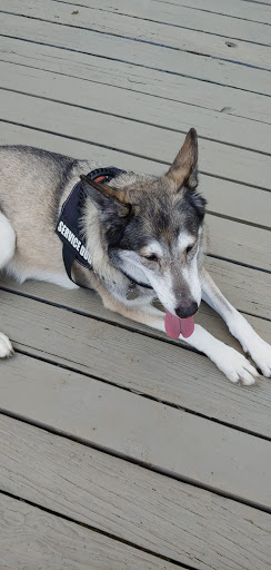 Pet Supply Store «Pet Supplies Plus», reviews and photos, 4100 Legacy Dr Suite 402, Plano, TX 75024, USA