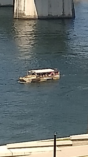 Aquarium «Tennessee Aquarium», reviews and photos, 1 Broad St, Chattanooga, TN 37402, USA