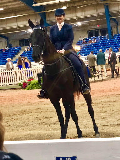 Stadium «Calsonic Arena», reviews and photos, 721 Whitthorne St, Shelbyville, TN 37160, USA