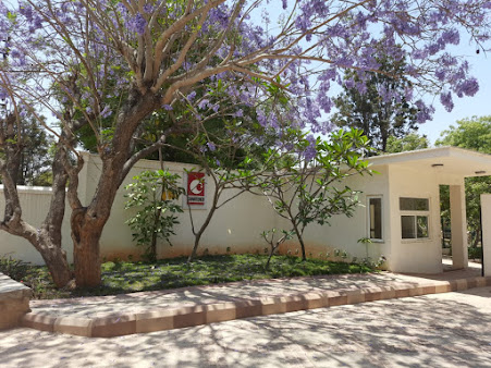 Google Maps image 15