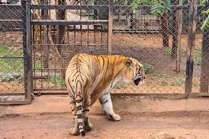 Atal Bihari Vajapayee Zoological Park image