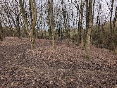 Arboretum à Le Cateau-Cambrésis