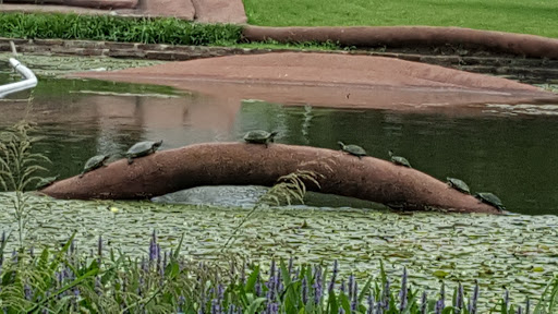 Tourist Attraction «Leonhardt Lagoon Nature Walk», reviews and photos, 1121 1st Ave, Dallas, TX 75210, USA