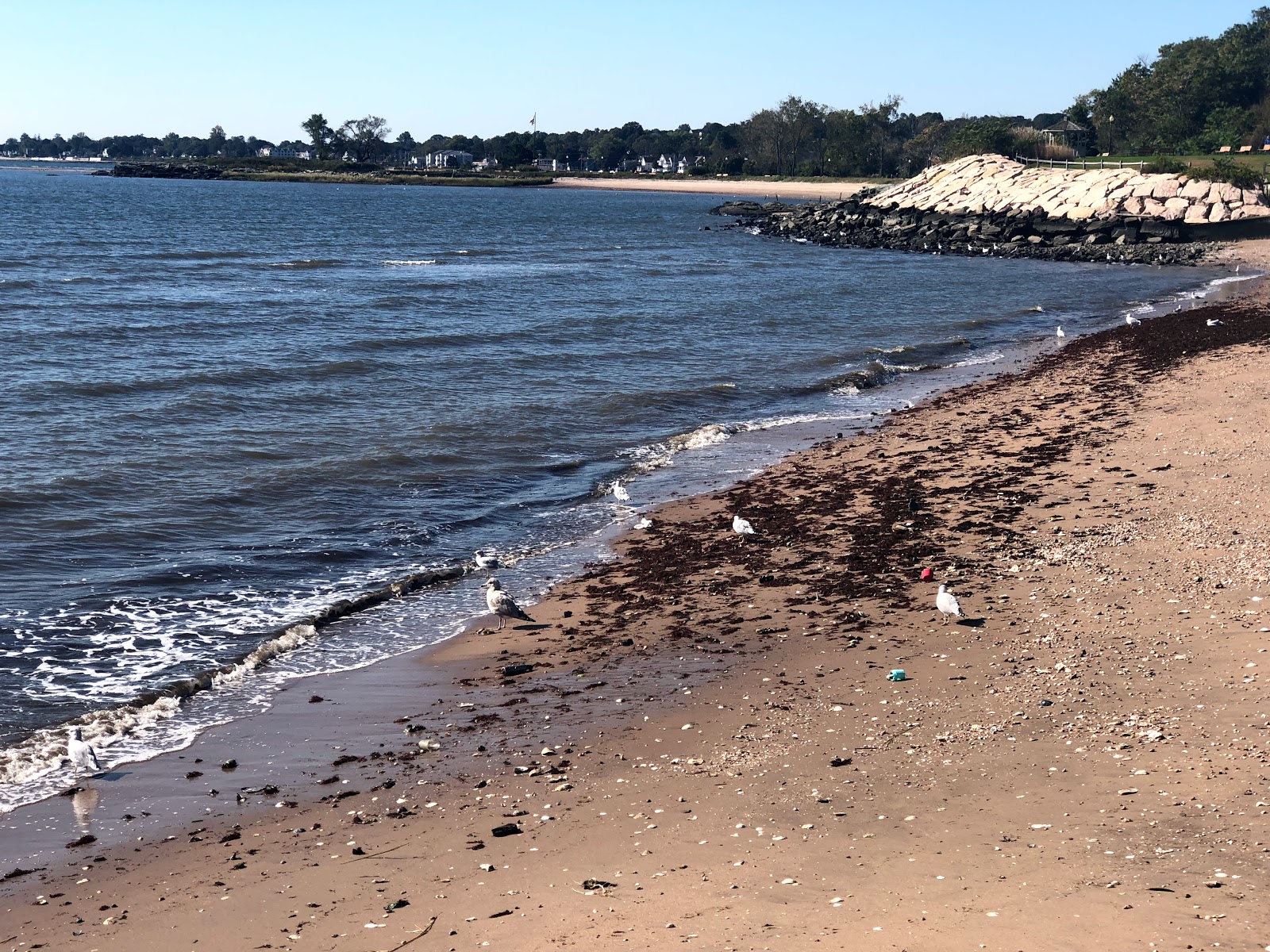 Foto av West Haven beach - populär plats bland avkopplingskännare