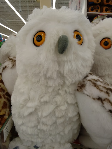 Craft Store «Hobby Lobby», reviews and photos, 1660 S Robert St, West St Paul, MN 55118, USA