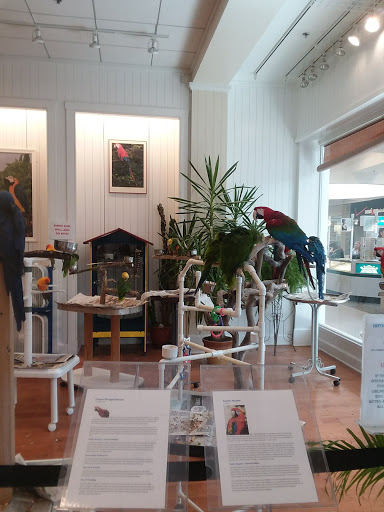 Shopping Mall «North Hanover Mall», reviews and photos, 1155 Carlisle St, Hanover, PA 17331, USA