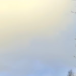 Photo n°1 de l'avis de Cristina.e fait le 06/12/2021 à 23:43 sur le  Monte Cavallo Farmhouse à Tambre